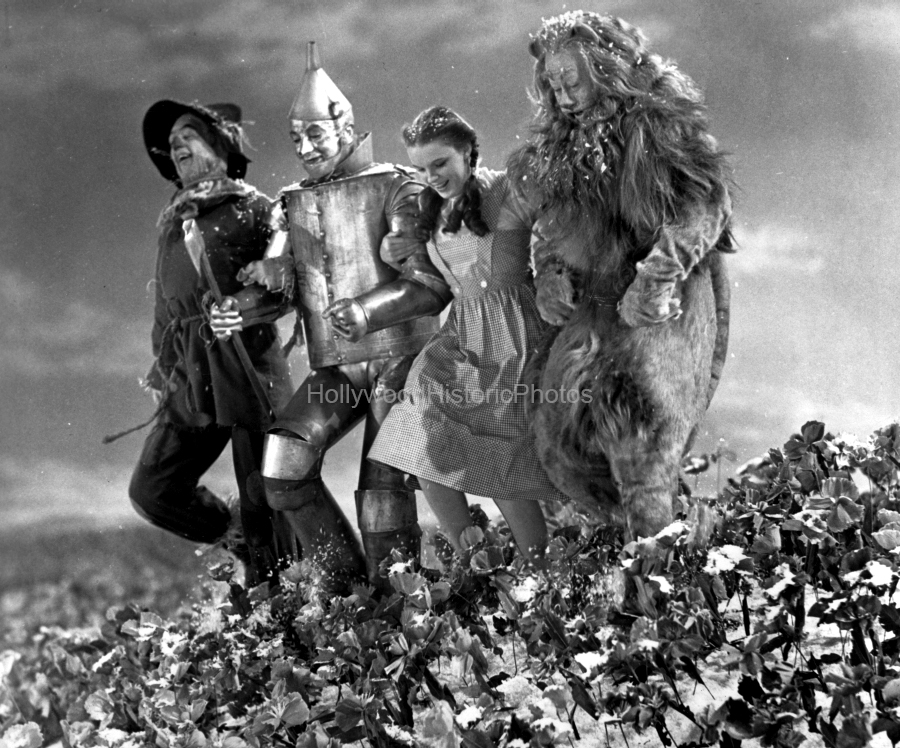 The Wizard of Oz 1939 skipping through the poppy fields wm.jpg